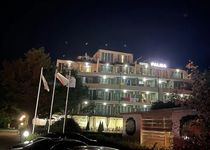 Palma Słoneczny Brzeg