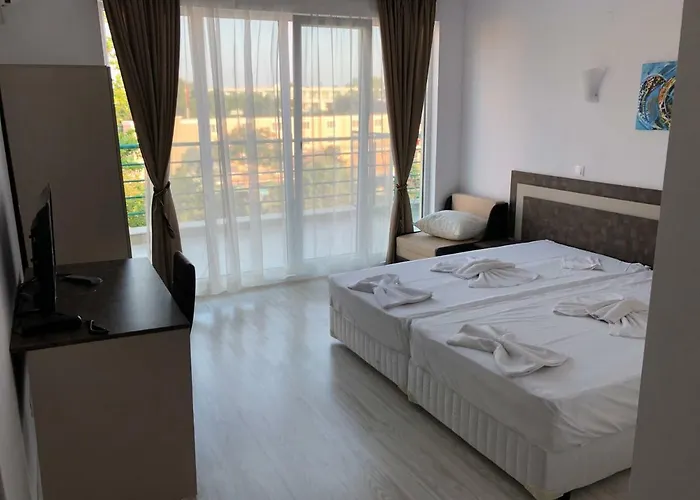 Palma Słoneczny Brzeg