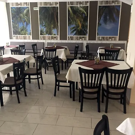 палма Слънчев бряг