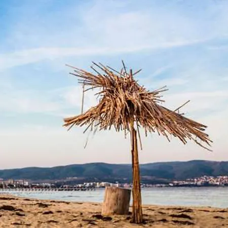 فندق Palma 3*