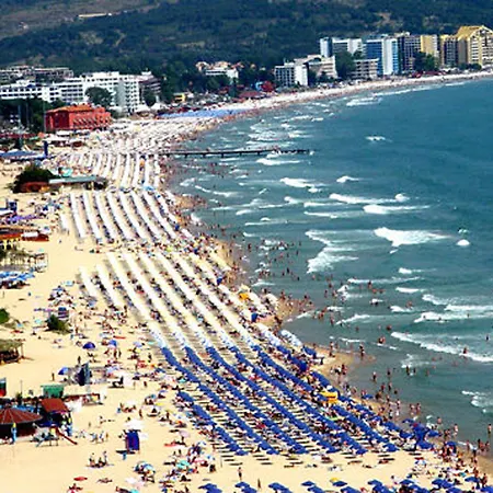 палма 3* Слънчев бряг