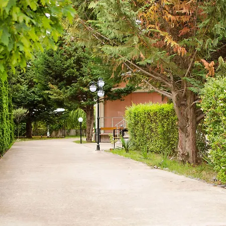 Palma 3* Slăntjev Brjag